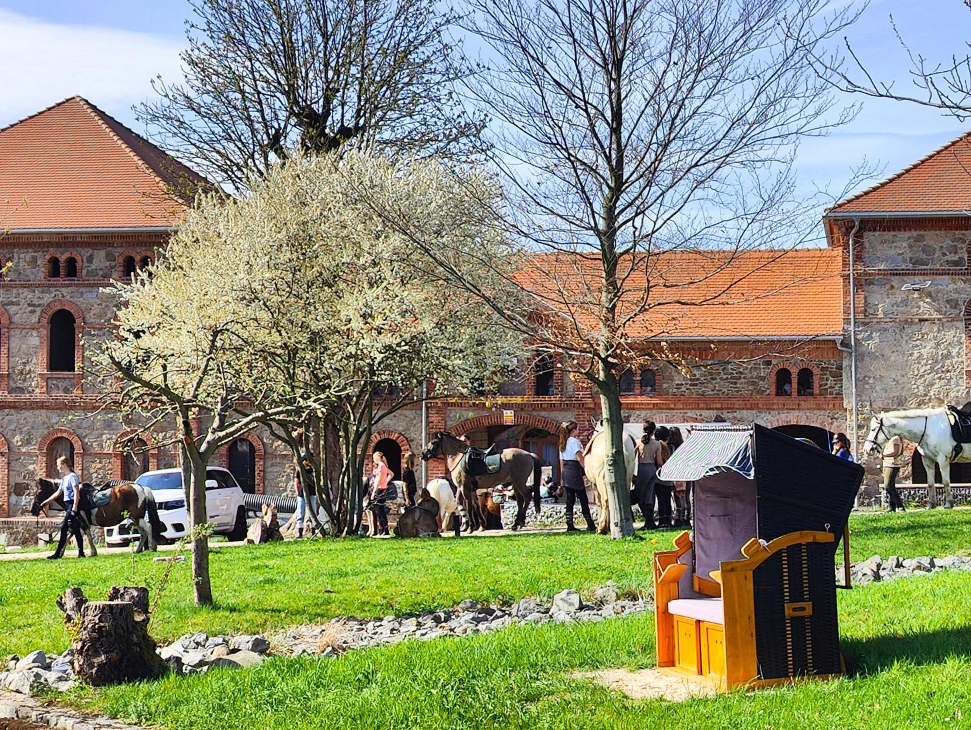 Mit Sauna- Cool Und Stylish Fuer 1-2 Personen - Badeteich - Naehe Saechsische Schweiz, Dresden Grossharthau